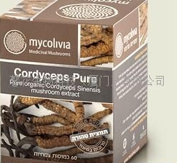 CordycepsPure 强效有机虫草蘑菇萃取多糖片招商