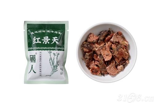 紅景天