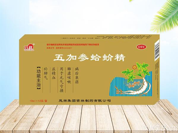 茂祥 五加參蛤蚧精 12支招商